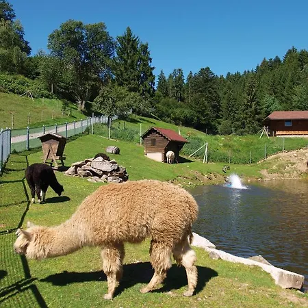 舒尔赫姆尔旅馆 2*