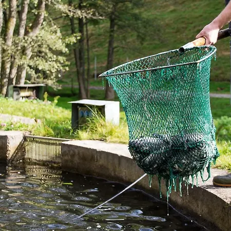 招待所 舒尔赫姆尔旅馆