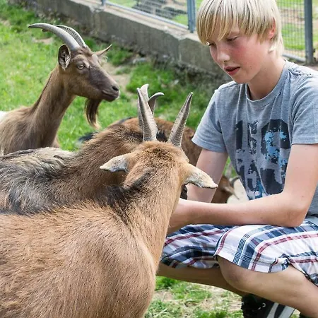 بيت ضيافة Schluechtmuehle 2*