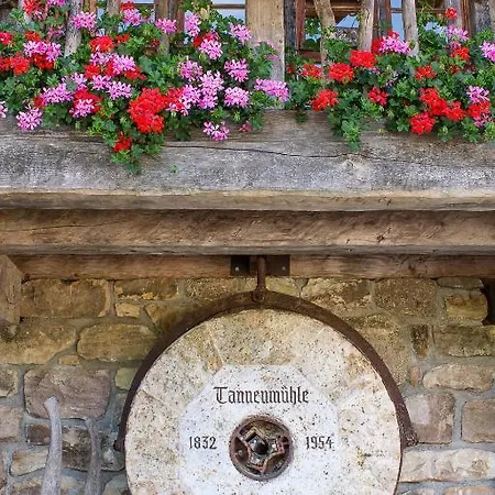 Guest house Schluechtmuehle 2*