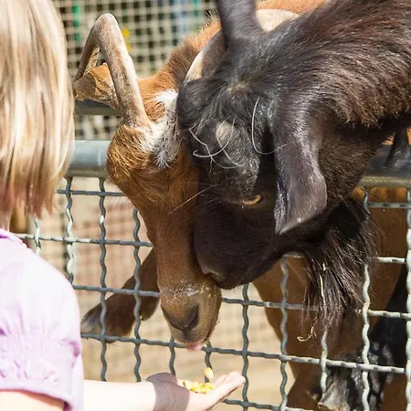 舒尔赫姆尔旅馆