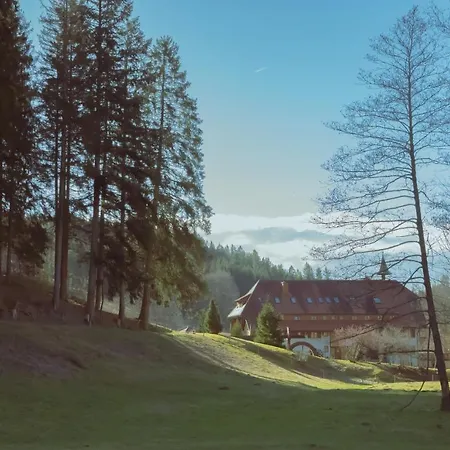 Schluechtmuehle 2* Grafenhausen